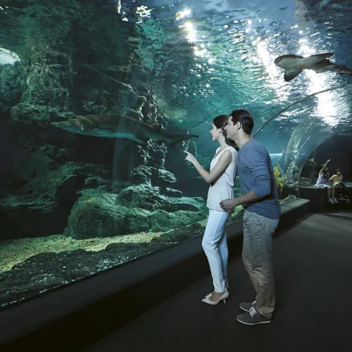 오션 터널(Ocean Tunnel)