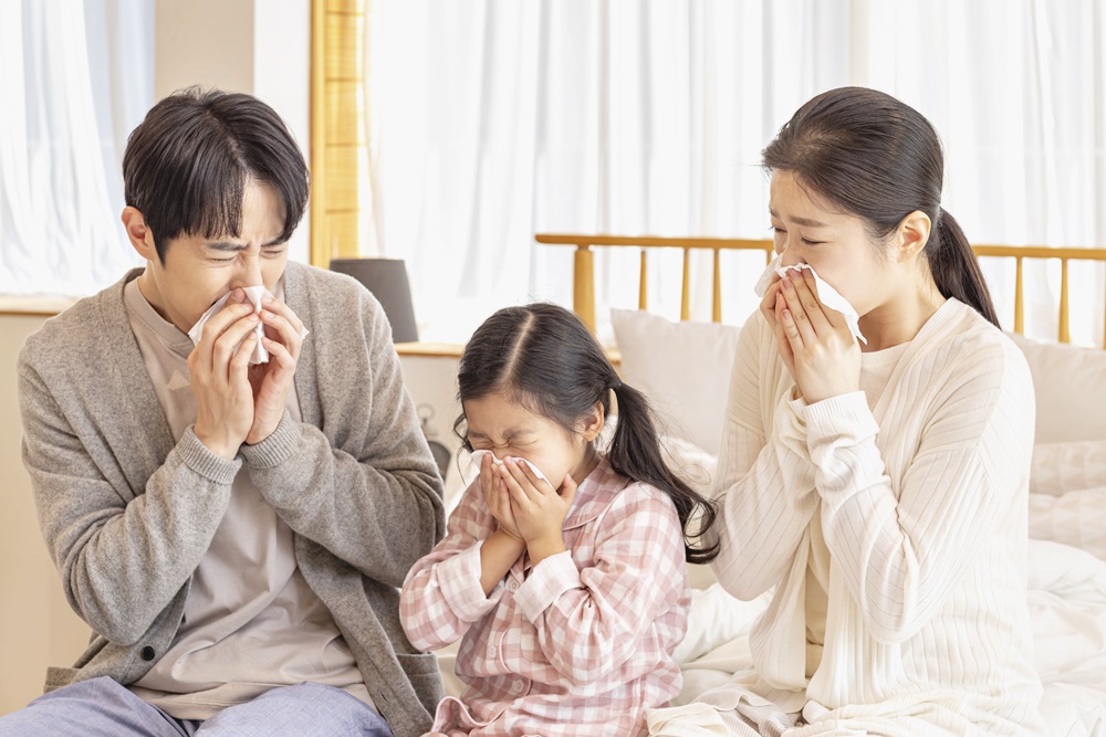 독감주의보
