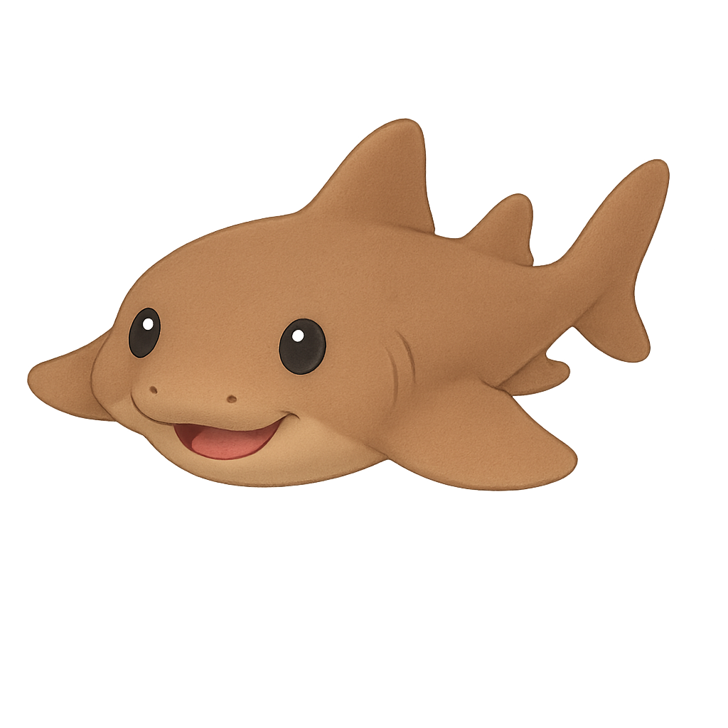 엔젤샤크 (Angel shark)